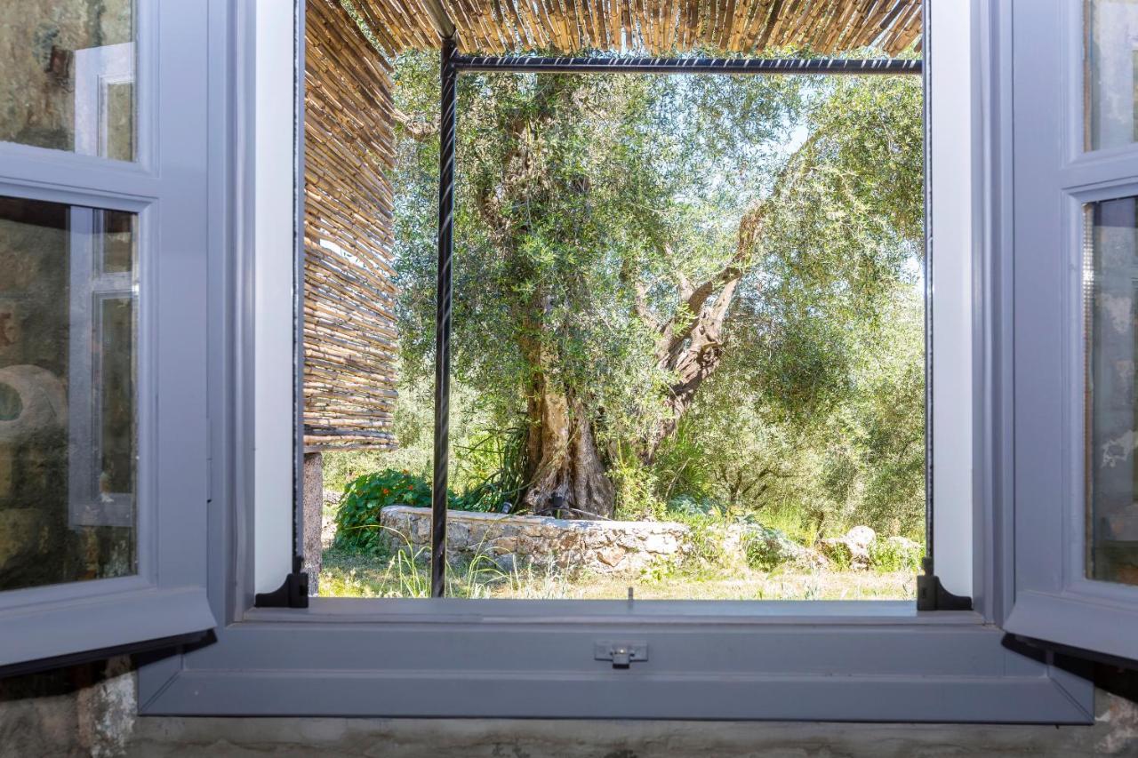 فيلا The Storage House Danilia المظهر الخارجي الصورة